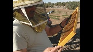 Craig Noorlander Winterizing Langstroth and Top Bar Hives [upl. by Konstanze]