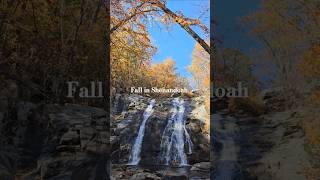 Beautiful Fall waterfall view in Shenandoah National Park nature hiking shorts [upl. by Hy4]