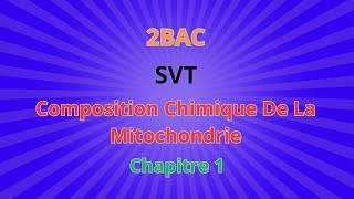 2BACSVT CH1 Libération de lénergie emmagasinée dans Composition Chimique De La Mitochondrie [upl. by Malley519]