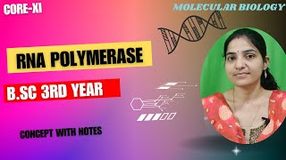 RNA Polymerase BSc 3rd YearRNA Polymerase and transcription unit bsc 3rd yearrnapolymerase [upl. by Ahsaei]