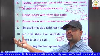 ENTO 121 Lecture 5 Classification of Phylum Arthropoda up to Classes [upl. by Tselec]