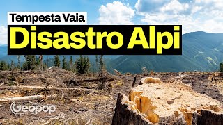 14 milioni di alberi abbattuti e 3 miliardi di euro di danni analizziamo la Tempesta Vaia del 2018 [upl. by Rossner49]