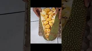 Unboxing Artocarpus integer Cempedak [upl. by Lezlie233]