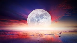 24 Hours of Relaxing Sleep Music • Deep Sleep Music Meditation Night Sounds Relaxing Music Calm [upl. by Priestley490]