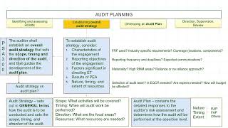 Audit Snapshot Audit Strategy Audit Plan Audit Program [upl. by Elonore]