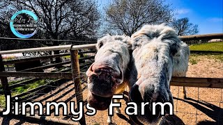 Walking around the stunning Jimmys Farm in Suffolk [upl. by Meris]