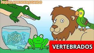 Animales vertebrados para niños mamiferos aves reptiles peces y anfibios [upl. by Aedni232]