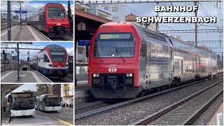 Züge beim Bahnhof Schwerzenbach  Trains at Schwerzenbach station 2024 [upl. by Annej929]