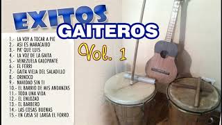 EXITOS GAITEROS VOL1 [upl. by Enicnarf]