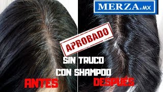 CÓMO ELIMINAR LAS CANAS CON SHAMPOO INCREÍBLESHAMPOO MERZA PINTAKANAMelinaMakeup [upl. by Nissie]