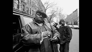 Biggie Smalls  Microphone Murderer Demo Version [upl. by Aluap]