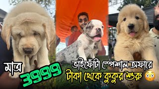 3999 টাকায় কুকুর 😱🔥 Serampore Pet Market  Recent Dog Puppy Price Update  Serampore Dog Market [upl. by Annahc]