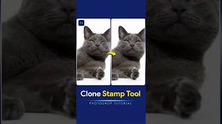 SECRET Clone Stamp Tool Tricks to Elevate Your Editing   Clone Stamp Tool photoshoptutoial [upl. by Nobel]