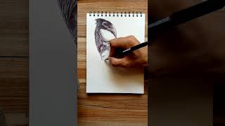 Venum Pen Art Speed Drawing [upl. by Annaehs]