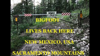 Bigfoot In New Mexico Sacramento Mountains Lincoln National Forest Cloudcroft [upl. by Ninel]