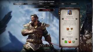 Divinity Original Sin 2  How to Build Ifan BenMezd [upl. by Munniks706]