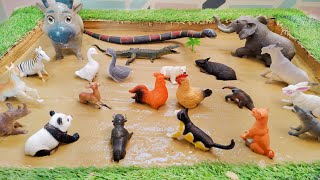 Muddy Playtime with Forest Animals and Pet Animals in a Sticky Situation [upl. by Knowle536]