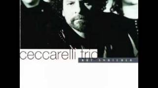 Ceccarelli Trio  Dreaming quotHat snatcherquot [upl. by Orual]