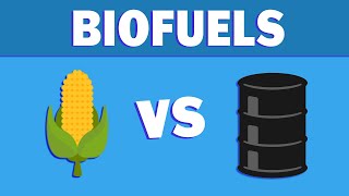 What are Biofuels and Where are They Going [upl. by Eseryt]