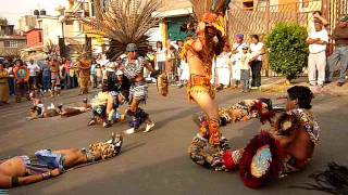 DANZA AZTECA  AGUILA BLANCA [upl. by Shimkus]