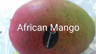 African Mango [upl. by Killen]