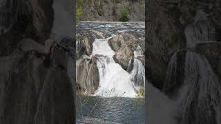 Cohoes Falls Cohoes NY [upl. by Gomar]