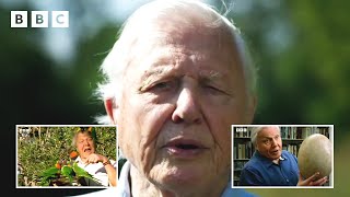 98 years of Sir David Attenborough in 98 seconds ❤️  David Attenboroughs Birthday  BBC [upl. by Ecirtael]