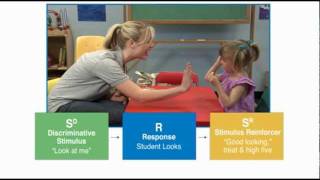 Discrete Trial Teaching  Autism Therapy Video [upl. by Renrut]