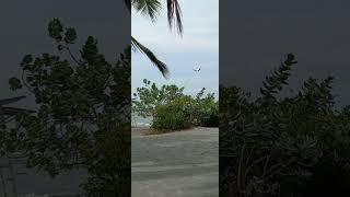 Santa Marta Colombia Avion Aterrizando la Playa  Airplane Landing The Beach [upl. by Esorbma]