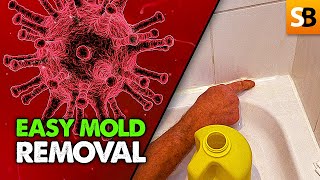 Shower Mold Removal  Super Easy Cleaning Hack [upl. by Etirugram236]