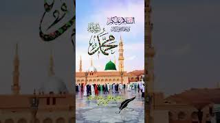 Mashallah urdupoetry islamicaesthetics urdu lyrics 2024 islamicstatus [upl. by Aicenert]