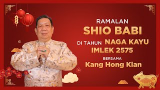 Ramalan Shio Babi di Tahun Naga Kayu 2024 Bersama Kang Hong Kian  Sonora Fengshui [upl. by Kubiak699]