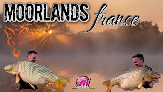 MOORLANDS FISHERY FRANCE CARP FISHING in session amp guide to Moorlands [upl. by Groveman481]