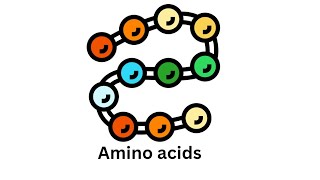 AminoacidsStructure Classification Functions [upl. by Watson]