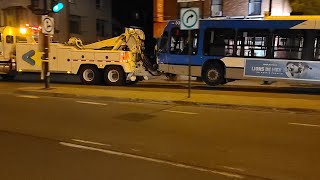 🚐 An STM articulated Nova Bus LFS being towed away in the CôtedesNeiges area of Montreal [upl. by Toombs498]