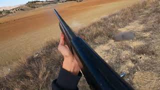 20242025 Keklik avı ve Tavşan avı Partridge Hunting [upl. by Eiramenna]