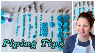 Piping tip and their designs  plus which are my favourite piping tips [upl. by Lovato]