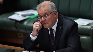 Scott Morrison ‘should not have been PM’ if his mental health struggles are ‘true’ [upl. by Yroj154]