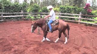 Neck Reining Tutorial [upl. by Esteban]