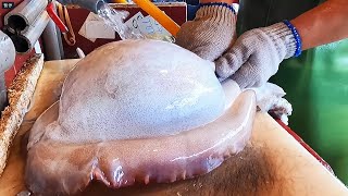 Amazing live giant cuttlefish cutting  Many Types of Sashimi [upl. by Colt980]