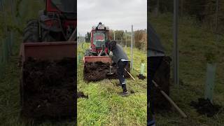 Fertilizing vineyard with compost at Weingut Sattlerhof Austria thewinearound wine compost [upl. by Namsu]