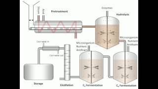 Process of Fermentation [upl. by Upshaw]