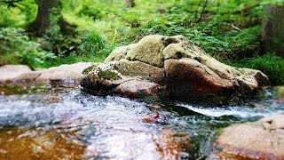 Braunlage an der warmen Bode im Harz [upl. by Manson626]