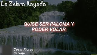 César Flores  Salvaje Letra [upl. by Kuster]