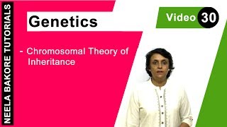 Genetics  Principles of Inheritance amp Variations  NEET  Chromosomal Theory of Inheritance [upl. by Mok950]