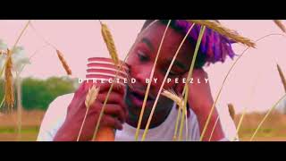 LIVELIKEDAVIS  INSOMNIA OFFICIAL VIDEO [upl. by Nhguavad607]