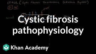 Cystic fibrosis pathophysiology  Respiratory system diseases  NCLEXRN  Khan Academy [upl. by Mikiso]