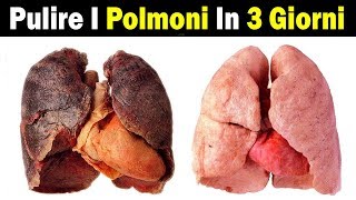 Come Pulire I Polmoni In 3 Giorni Rimedi Naturali [upl. by Aisatan]