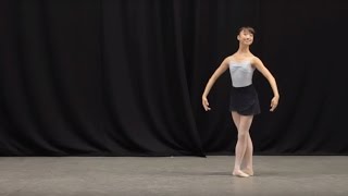 Insight Ballet Glossary  Petit allegro [upl. by Nayrda]