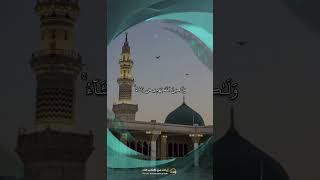 إِنَّكَ لَا تَهْدِى مَنْ أَحْبَبْتَ  الشيخ ياسر الدوسري  آيات من كتاب الله [upl. by Chansoo963]